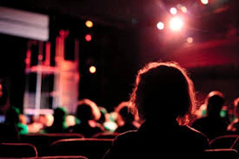 Audience Backs of Heads