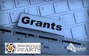 Springville DEC Info Session Image