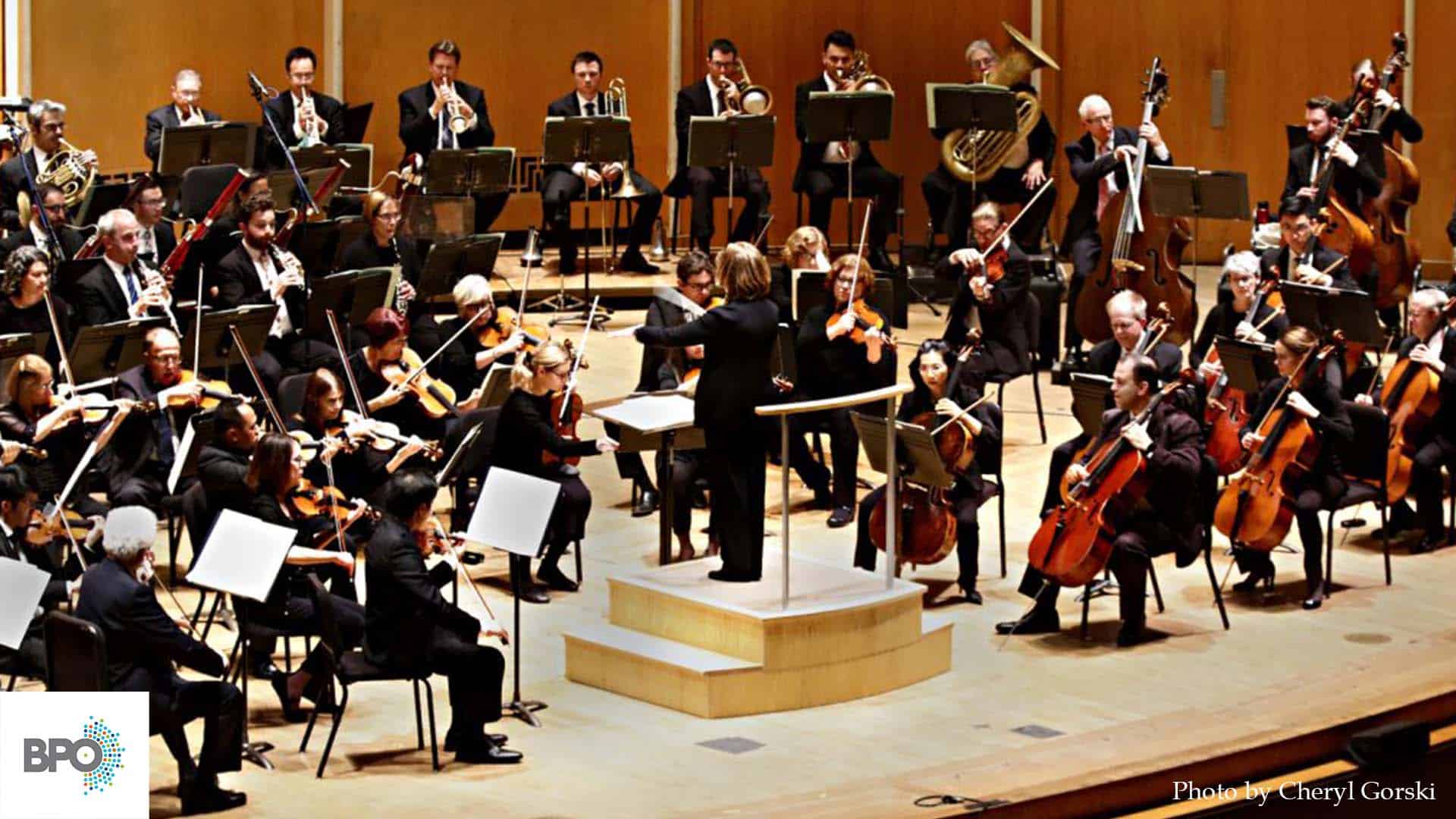 Fordøjelsesorgan aldrig Enlighten Increasing Racial Diversity in Orchestra: Q&A with the Buffalo Philharmonic  Orchestra - Arts Services Inc.