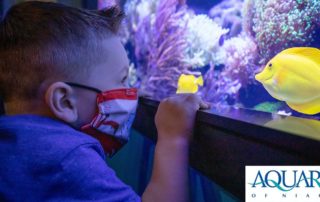 Aquarium of Niagara header image